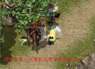 传奇至尊,无限钻石在手征战沙场 传奇至尊,无限钻石在手征战沙场