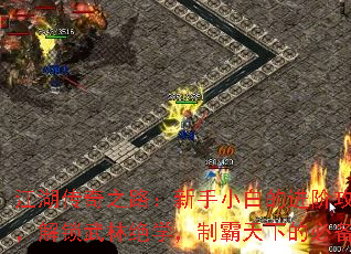 ֮·С׵Ľ׹ؼ־ѧưµıرָ