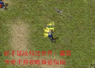 新手征战玛法世界:雷霆传奇手游攻略解惑指南 新手征战玛法世界:雷霆传奇手游攻略解惑指南