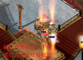 丽江传奇马帮:千载驼铃古道行攻略秘笈 丽江传奇马帮:千载驼铃古道行攻略秘笈