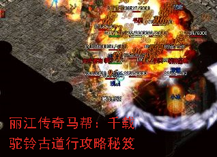 丽江传奇马帮:千载驼铃古道行攻略秘笈 丽江传奇马帮:千载驼铃古道行攻略秘笈