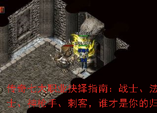 �����ߴ�ְҵ����ָ�ϣ�սʿ����ʦ����ʿ����ǹ�֡��̿ͣ�˭������Ĺ�����