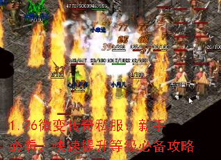 1.76微变传奇私服:新手必看,快速提升等级必备攻略 1.76微变传奇私服:新手必看,快速提升等级必备攻略