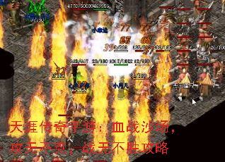 天涯传奇手游:血战沙场,攻无不克,战无不胜攻略 天涯传奇手游:血战沙场,攻无不克,战无不胜攻略