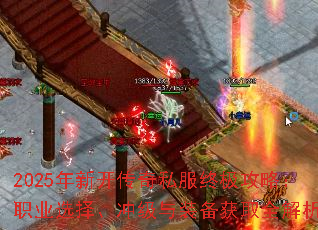 2025¿˽ռԣְҵѡ񡢳弶װȡȫ