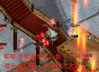 嘟嘟传奇安卓版:新手如何快速升级打宝,称霸玛法大陆? 嘟嘟传奇安卓版:新手如何快速升级打宝,称霸玛法大陆?