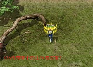 176传奇哪个职业PK最厉害? 176传奇哪个职业PK最厉害?