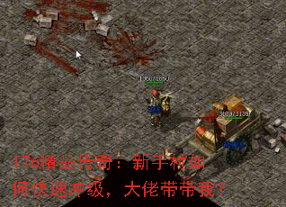 176精品传奇:新手村如何快速冲级,大佬带带我? 176精品传奇:新手村如何快速冲级,大佬带带我?