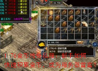 1.76金币传奇私服:新手如何快速积累金币,成为服务器首富? 1.76金币传奇私服:新手如何快速积累金币,成为服务器首富?