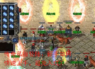 ����˽����½��������ο������֣�������ӣ�