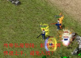 ����˽����½��������ο������֣�������ӣ�