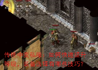 传世中变私服:如何快速提升等级,装备选择有哪些技巧? 传世中变私服:如何快速提升等级,装备选择有哪些技巧?