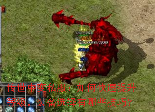 传世中变私服:如何快速提升等级,装备选择有哪些技巧? 传世中变私服:如何快速提升等级,装备选择有哪些技巧?