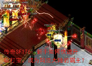 SF176ο򱦣Ϊ귨½İ