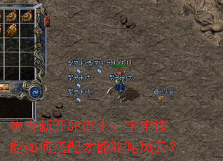 传奇新开SF道士:宝宝技能如何搭配才能叱咤风云? 传奇新开SF道士:宝宝技能如何搭配才能叱咤风云?