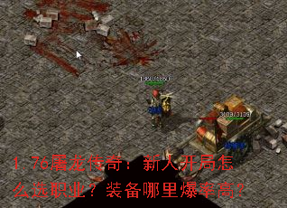 1.76屠龙传奇:新人开局怎么选职业?装备哪里爆率高? 1.76屠龙传奇:新人开局怎么选职业?装备哪里爆率高?