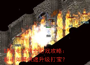 SF发布站传奇游戏攻略:新手如何快速升级打宝? SF发布站传奇游戏攻略:新手如何快速升级打宝?