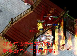 SF发布站传奇游戏攻略:新手如何快速升级打宝? SF发布站传奇游戏攻略:新手如何快速升级打宝?