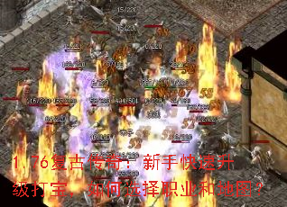 1.76Ŵ棺ֿ򱦣ѡְҵ͵ͼ