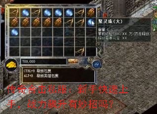 传奇合击私服:新手快速上手,战力飙升有妙招吗? 传奇合击私服:新手快速上手,战力飙升有妙招吗?