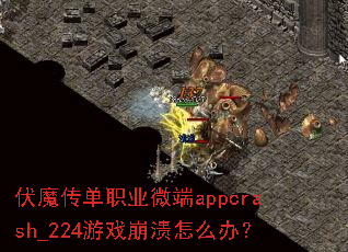 伏魔传单职业微端appcrash_224游戏崩溃怎么办? 伏魔传单职业微端appcrash_224游戏崩溃怎么办?