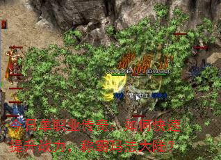 今日单职业传奇:如何快速提升战力,称霸玛法大陆? 今日单职业传奇:如何快速提升战力,称霸玛法大陆?