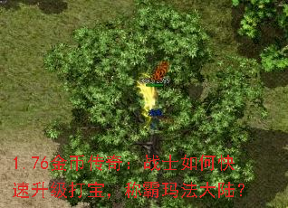 1.76金币传奇:战士如何快速升级打宝,称霸玛法大陆? 1.76金币传奇:战士如何快速升级打宝,称霸玛法大陆?