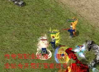 传奇双职业新服,哪个职业组合开荒打宝最效率? 传奇双职业新服,哪个职业组合开荒打宝最效率?