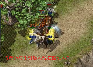 传奇2m有手机版吗现在能玩吗? 传奇2m有手机版吗现在能玩吗?