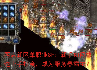 两点新区单职业SF:新手如何快速上手打金,成为服务器霸主? 两点新区单职业SF:新手如何快速上手打金,成为服务器霸主?