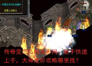 传奇变态私服发布网:新手快速上手,大神进阶攻略哪里找? 传奇变态私服发布网:新手快速上手,大神进阶攻略哪里找?