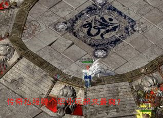 传奇私服哪个职业玩起来最爽? 传奇私服哪个职业玩起来最爽?