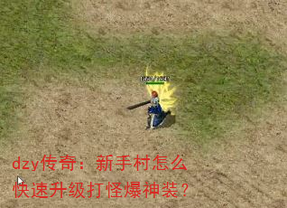 dzy传奇:新手村怎么快速升级打怪爆神装? dzy传奇:新手村怎么快速升级打怪爆神装?