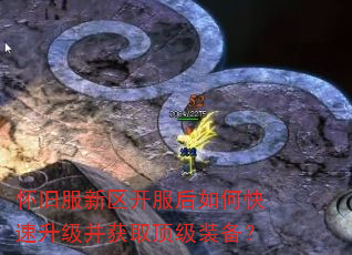 怀旧服新区开服后如何快速升级并获取顶级装备? 怀旧服新区开服后如何快速升级并获取顶级装备?