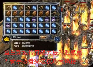 盟重新城传奇战力提升遇瓶颈?新手必看突破技巧大揭秘 盟重新城传奇战力提升遇瓶颈?新手必看突破技巧大揭秘