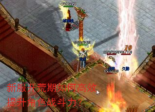 新服开荒期如何高效提升角色战斗力? 新服开荒期如何高效提升角色战斗力?