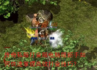 传奇私服打金服电脑版新手如何快速掌握高效打金技巧? 传奇私服打金服电脑版新手如何快速掌握高效打金技巧?