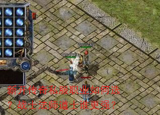 ¿˽ְҵѡսʿʦʿ˭ǿ