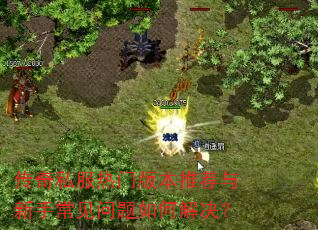 传奇私服热门版本推荐与新手常见问题如何解决? 传奇私服热门版本推荐与新手常见问题如何解决?