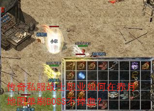 ˽սʿְҵڳµͼˢBOSSѪ