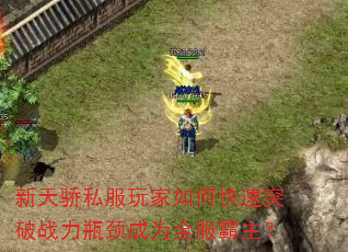 新天骄私服玩家如何快速突破战力瓶颈成为全服霸主? 新天骄私服玩家如何快速突破战力瓶颈成为全服霸主?
