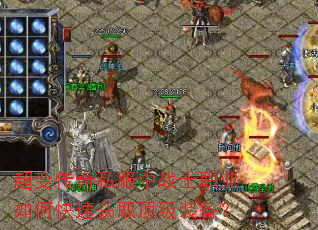 䴫˽սʿְҵοٻȡװ