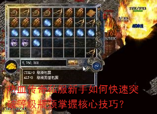 热血传奇私服新手如何快速突破等级瓶颈掌握核心技巧? 热血传奇私服新手如何快速突破等级瓶颈掌握核心技巧?