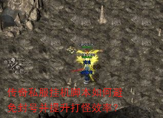 传奇私服挂机脚本如何避免封号并提升打怪效率? 传奇私服挂机脚本如何避免封号并提升打怪效率?