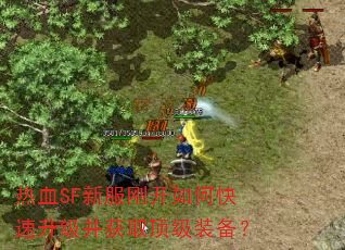 热血SF新服刚开如何快速升级并获取顶级装备? 热血SF新服刚开如何快速升级并获取顶级装备?