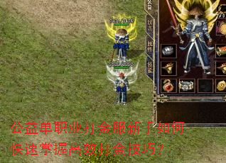 公益单职业打金服新手如何快速掌握高效打金技巧? 公益单职业打金服新手如何快速掌握高效打金技巧?