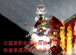 公益单职业打金服新手如何快速掌握高效打金技巧? 公益单职业打金服新手如何快速掌握高效打金技巧?