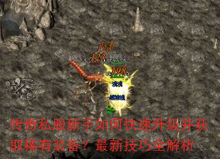 ����˽��������ο�����������ȡϡ��װ�������¼���ȫ����