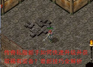 ����˽��������ο�����������ȡϡ��װ�������¼���ȫ����