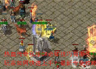 ��Ѫ����˽��GM��֪��������Щ�����������ο������֣�����רҵ���Խ���